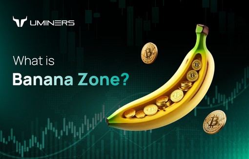 banana zone(larger)